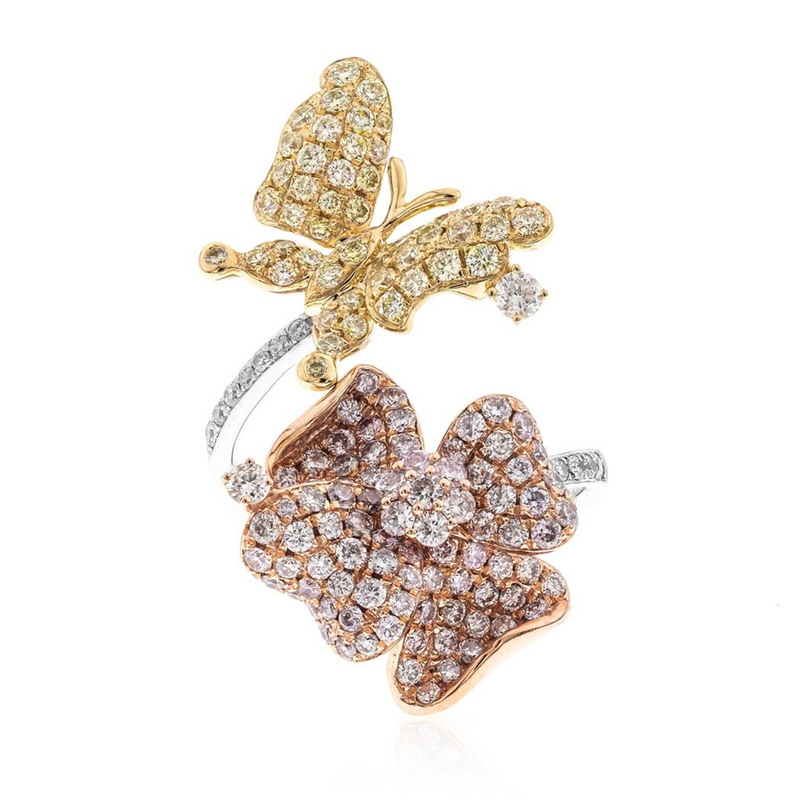 Brillant-Goldring (CIRARI) Brillant-Goldring (CIRARI)