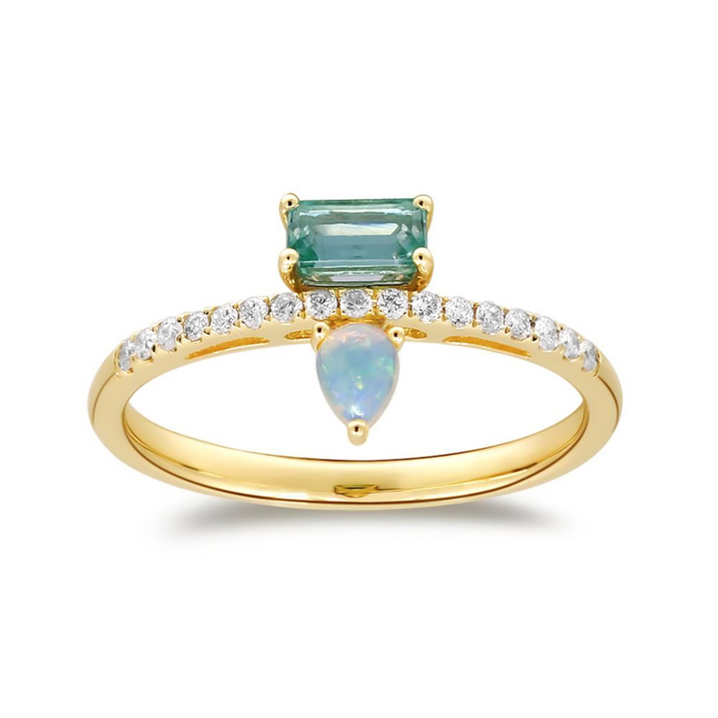 Edelstein-Goldring (CIRARI)