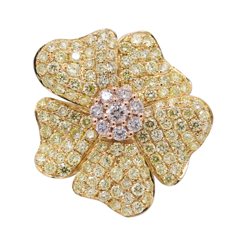 Brillant-Goldring (CIRARI) Brillant-Goldring (CIRARI)