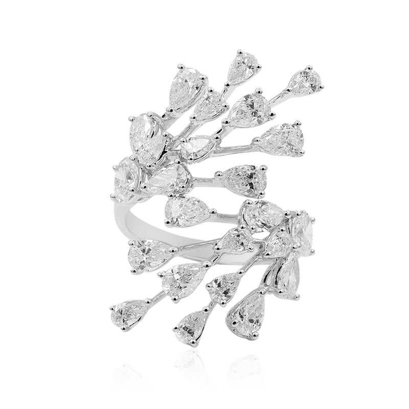 (H) Brillant-Goldring (CIRARI)