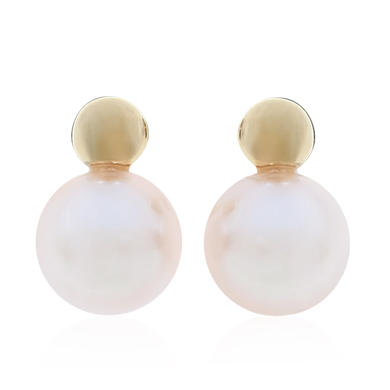 Akoya-Perlen-Goldohrringe (de Melo)