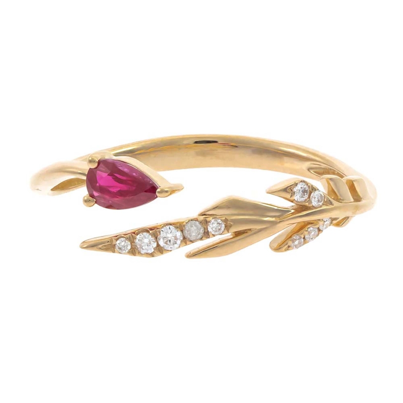 Mosambik-Rubin-Goldring (CIRARI)