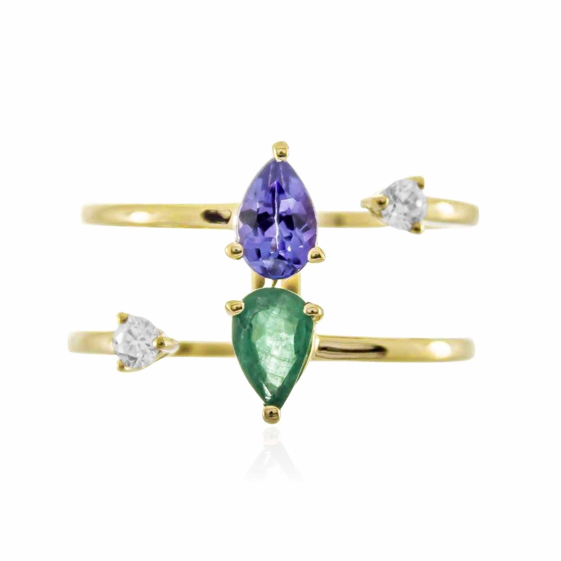 Edelstein-Goldring (CIRARI)