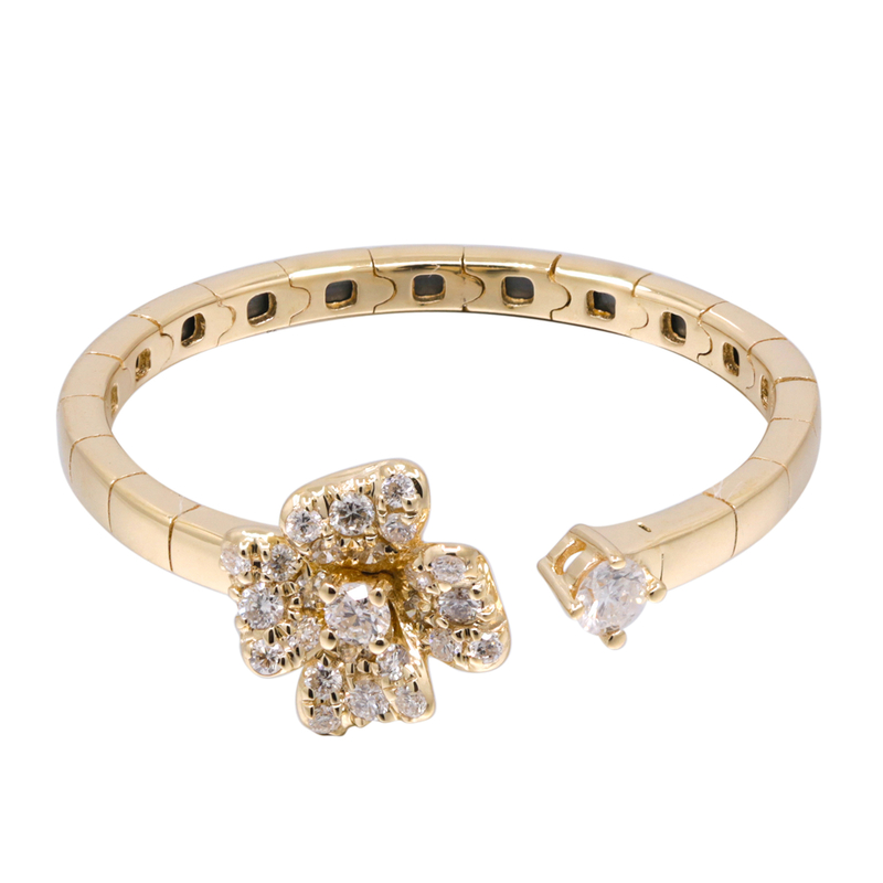 I1 (H) Brillant-Goldring (CIRARI)