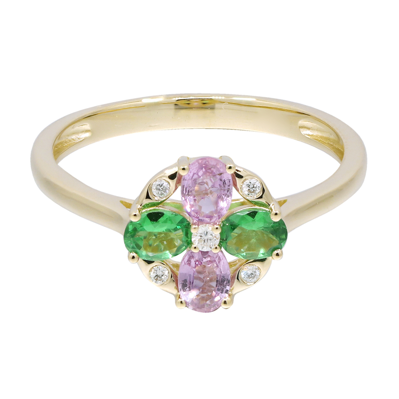 Edelstein-Goldring (CIRARI)