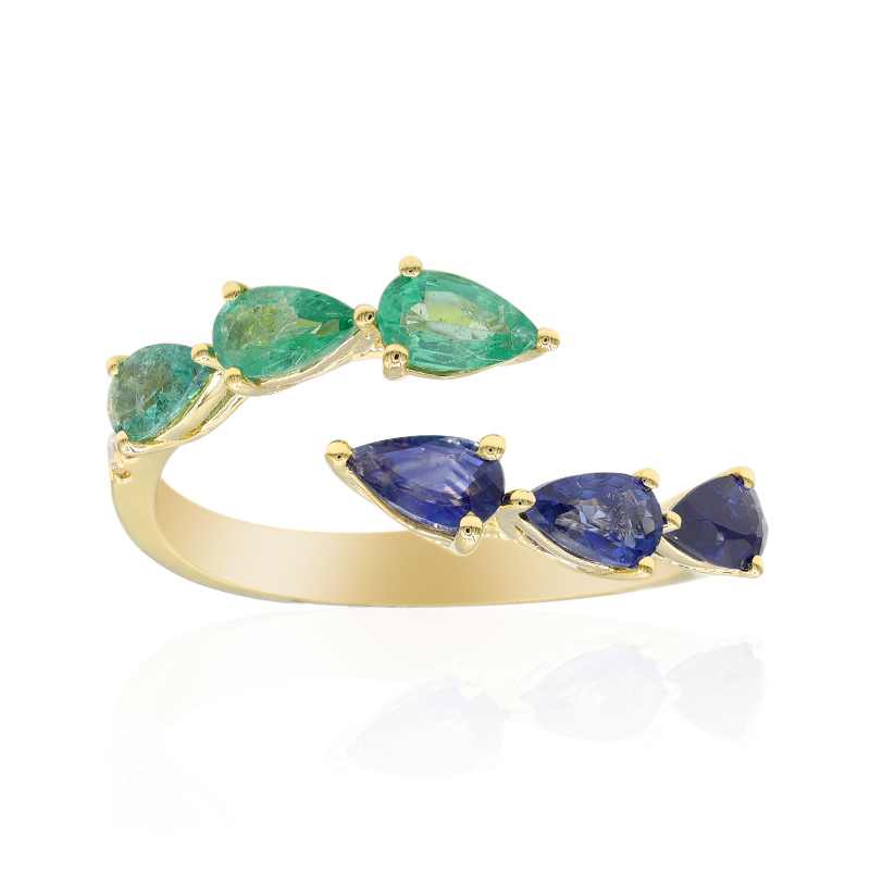 Edelstein-Goldring (CIRARI) Edelstein-Goldring (CIRARI)