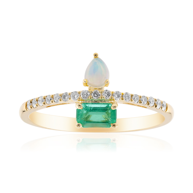 Edelstein-Goldring (CIRARI)