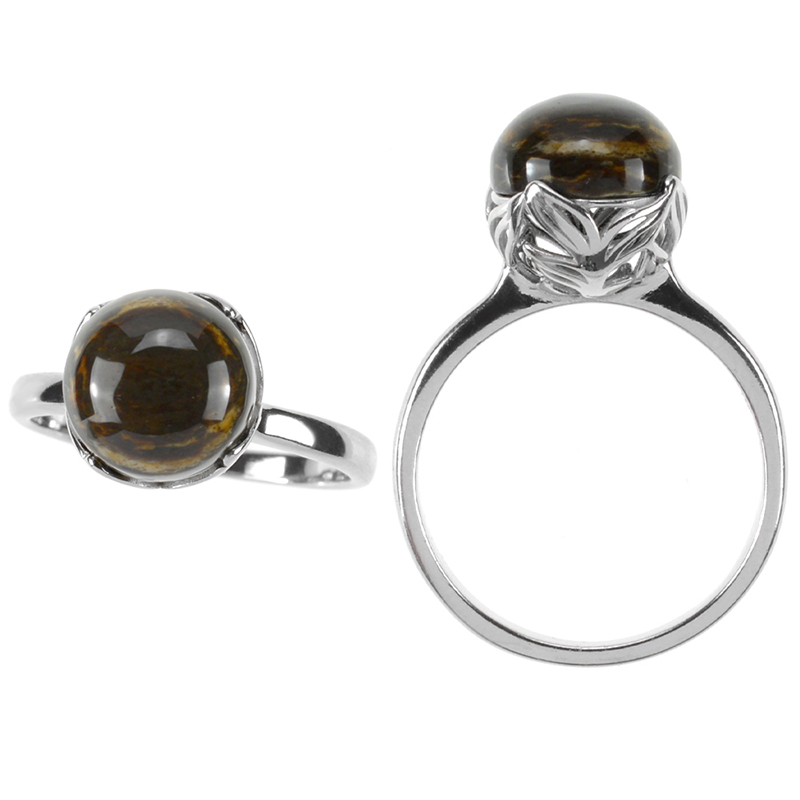 Versteinertes Holz-Silberring (dagen)