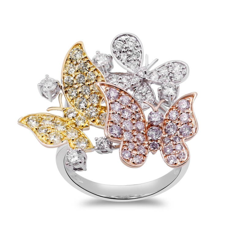 Brillant-Goldring (CIRARI)