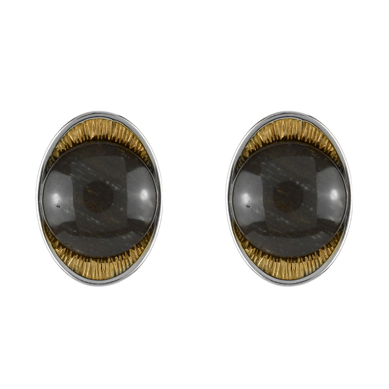 Versteinertes Holz-Silberohrringe (dagen)