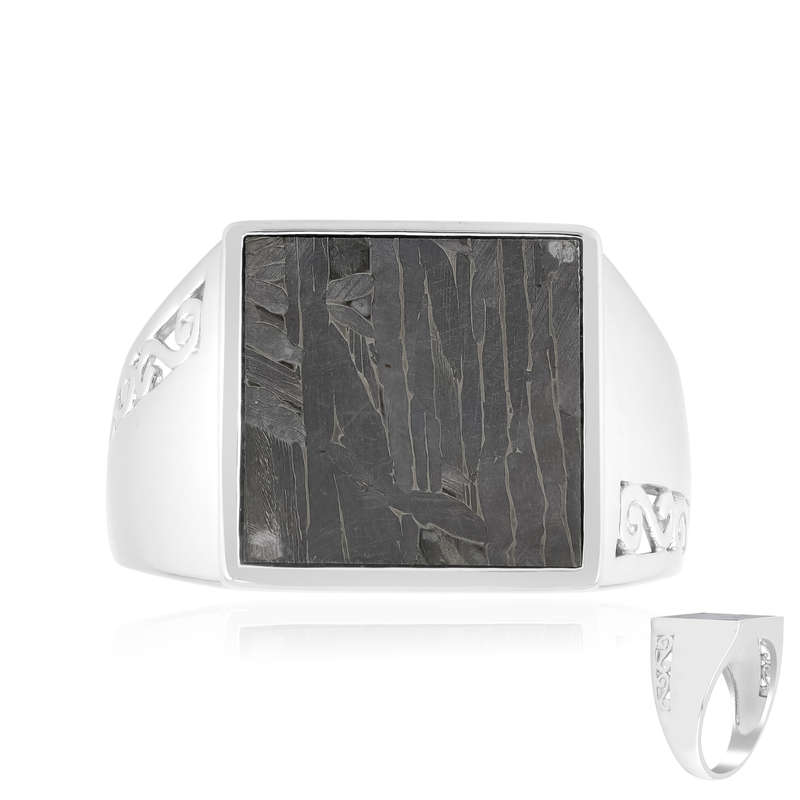 Aletai-Meteorit-Silberring