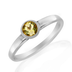 Zilveren ring met een Ouro Verde kwarts 1206YZ