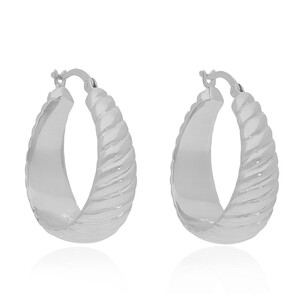 Silver Earrings 1567QN