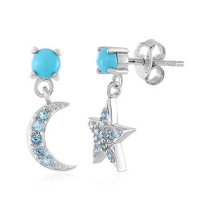 Turquoise Silver Earrings 2543AE