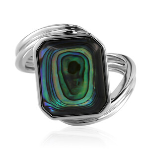 Zilveren ring met een Abalone schelp (MONOSONO COLLECTION) 5198DM